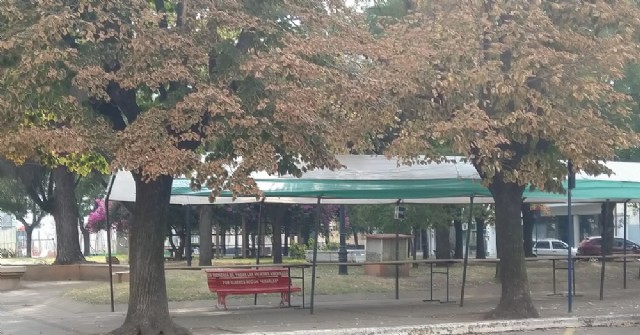 Actividades en la Plaza San Martín por el Día de la Mujer